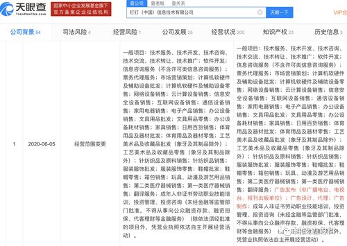 釘釘業(yè)務(wù)版圖再拓展 新增廣告發(fā)布與信息技術(shù)咨詢，深化企業(yè)服務(wù)布局