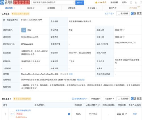 軟件開發(fā)與信息技術(shù)咨詢服務(wù) 驅(qū)動數(shù)字化轉(zhuǎn)型的雙引擎